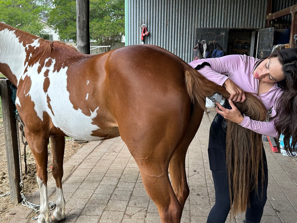 pet control hq ultimate horse grooming pack