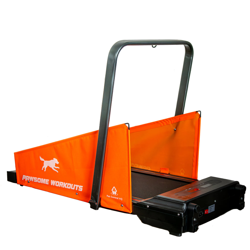 motorized dog treadmill