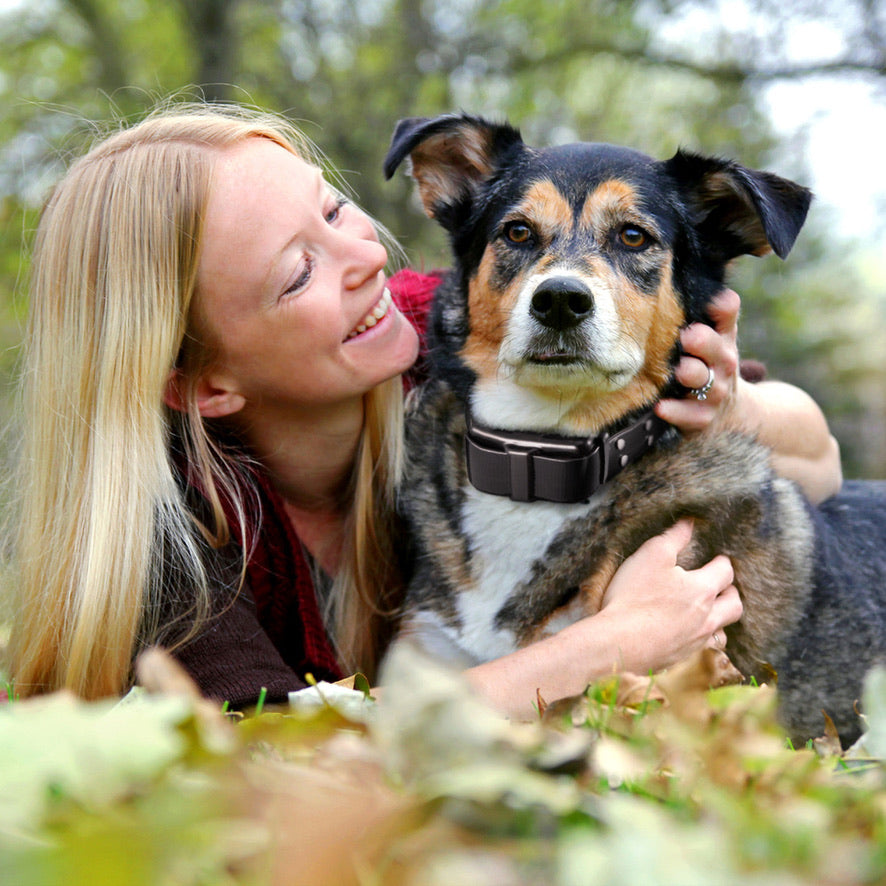 pet control hq extra collar for remote hunting dog trainer